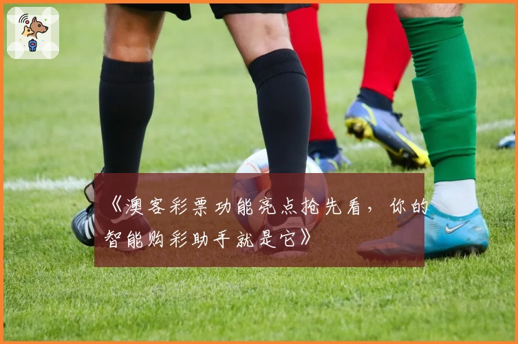 《澳客彩票功能亮点抢先看，你的智能购彩助手就是它》