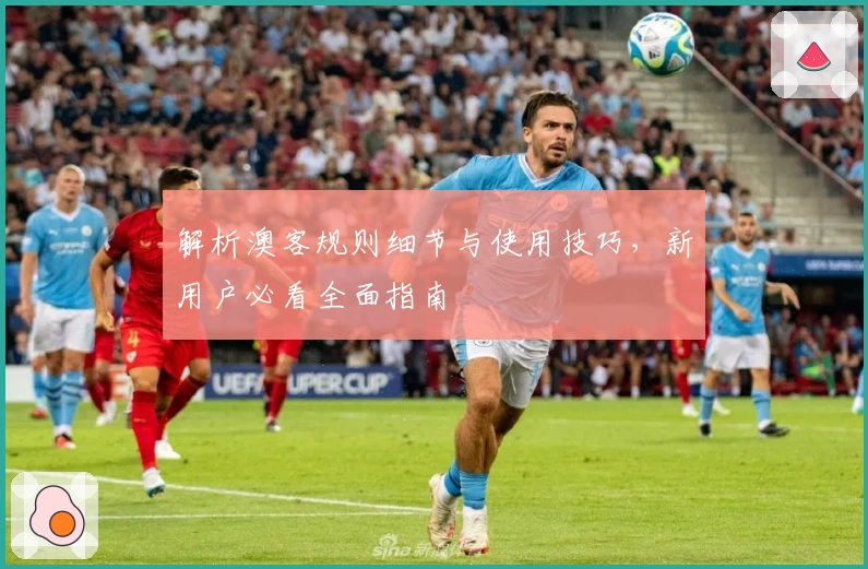 解析澳客规则细节与使用技巧，新用户必看全面指南