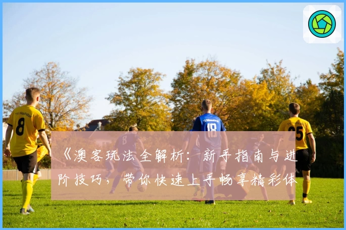 《澳客玩法全解析：新手指南与进阶技巧，带你快速上手畅享精彩体验》